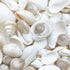 1 kg small white and pearl seashell mix